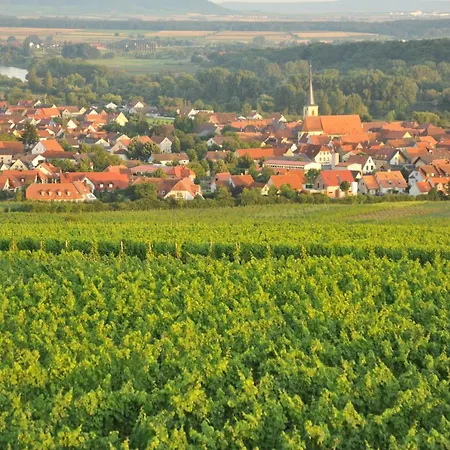 Tonart - Modern & Stilvoll Im Weinort Appartement Sommerach