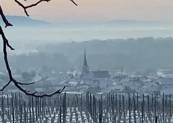 Lejlighed Tonart - Modern & Stilvoll Im Weinort