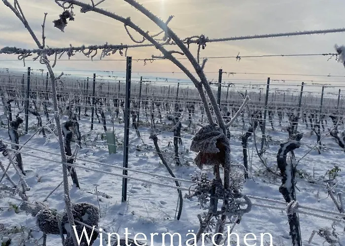 Lejlighed Tonart - Modern & Stilvoll Im Weinort