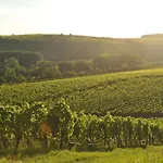 Tonart - Modern & Stilvoll Im Weinort *