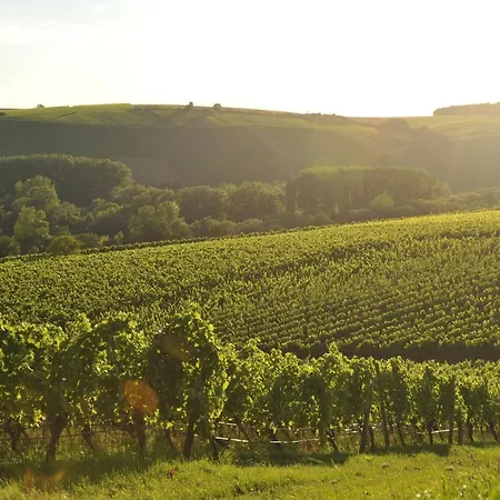Tonart - Modern & Stilvoll Im Weinort *