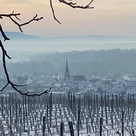 Lejlighed Tonart - Modern & Stilvoll Im Weinort