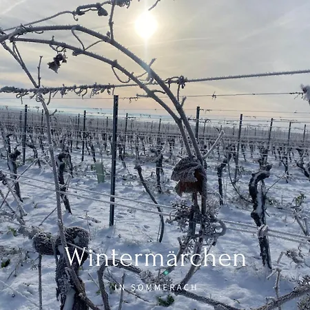 Lejlighed Tonart - Modern & Stilvoll Im Weinort