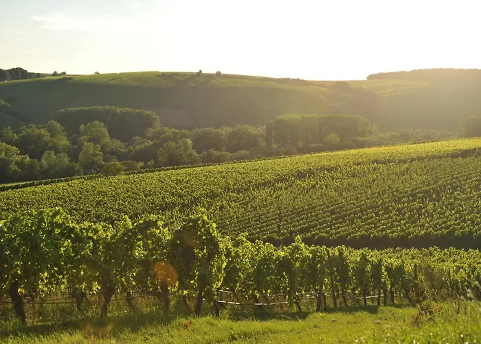 Tonart - Modern & Stilvoll Im Weinort *