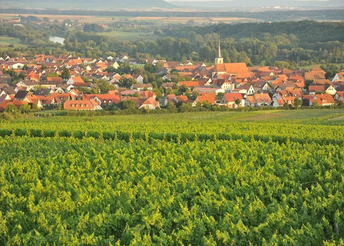 Tonart - Modern & Stilvoll Im Weinort Appartement Sommerach